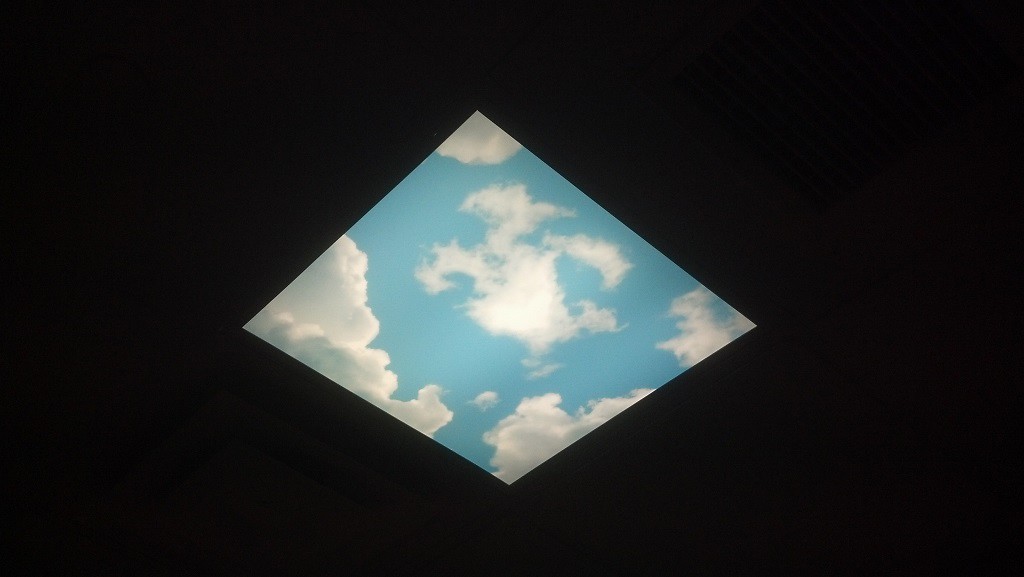 Sky-Tile Ceiling Tile