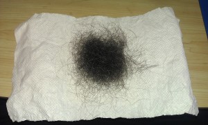 Lost Hair