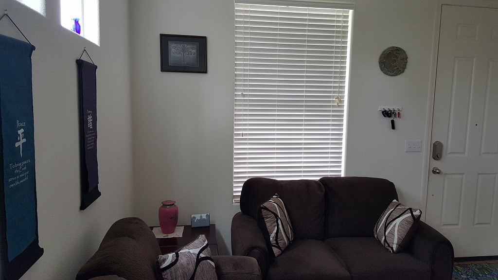 The front wall. Wendy used to sit in front of this window most of the day.